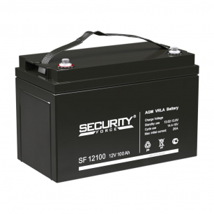 Аккумуляторная батарея Secuirity Force SF 12100 Bad Pack