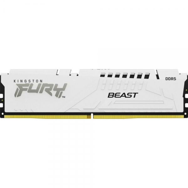 Модуль памяти Kingston KF552C40BW-32