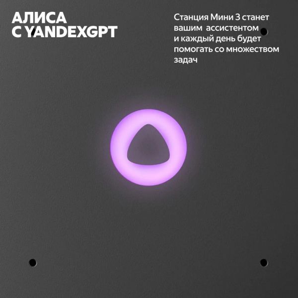 Умная колонка Яндекс Станция Мини 3, модель YNDX-00027 (чёрный)