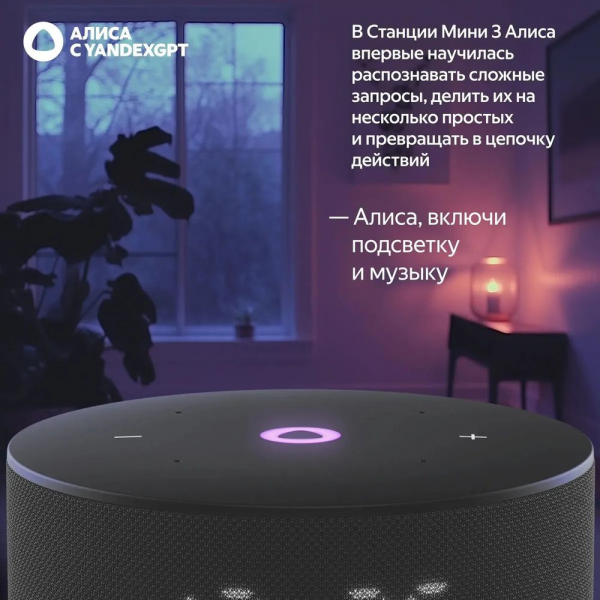 Умная колонка Яндекс Станция Мини 3, модель YNDX-00027 (чёрный)