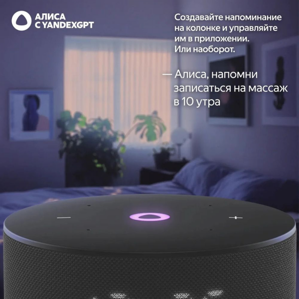 Умная колонка Яндекс Станция Мини 3, модель YNDX-00027 (чёрный)