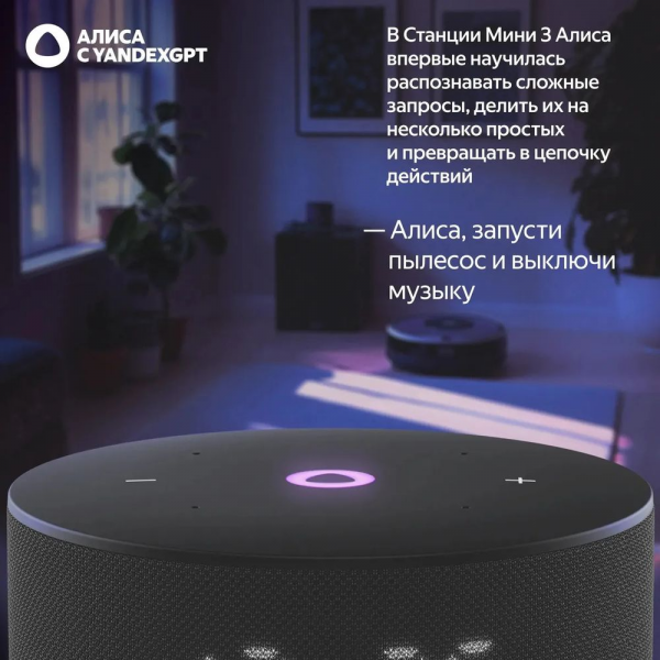 Умная колонка Яндекс Станция Мини 3, модель YNDX-00027 (чёрный)