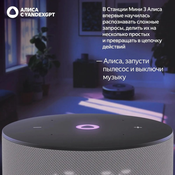 Умная колонка Яндекс Станция Мини 3, модель YNDX-00027 (серый)