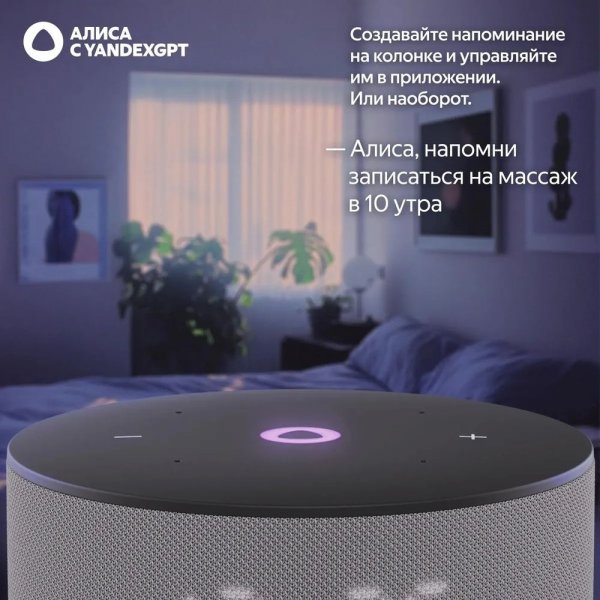 Умная колонка Яндекс Станция Мини 3, модель YNDX-00027 (серый)