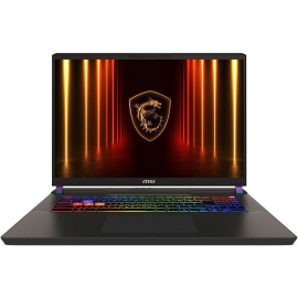 Ноутбук MSI Vector 17 HX AI A2XWIG-063XRU Intel Core Ultra 9 275HX/32Gb (2*16 D5)/SSD1Tb/RTX5080 16Gb (175W)/17