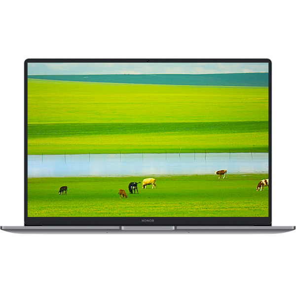 Ноутбук HONOR MagicBook X14 Plus Intel Core 5 220H/16Gb (soldered D4)/SSD1Tb/UMA/14"/IPS/2.8K/2880x1800/120Hz/Win11/Grey/1.34kg
