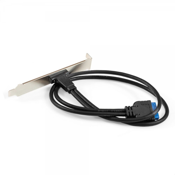 Планка портов в корпус Type-C ExeGate BrctUSB3-1C (USB 3.2 Gen1 20pin (IDC 20pin F) --> USB 3.2 Gen1 Type-Cf, кабель 30см)