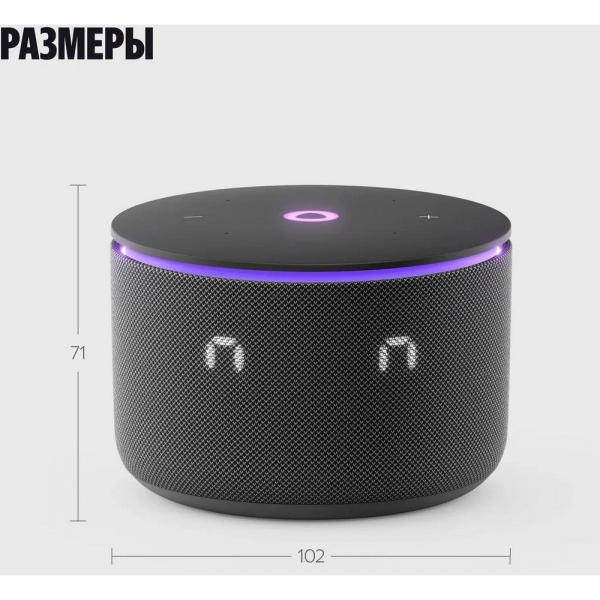 Умная колонка Яндекс Станция Мини 3 Про с Алисой, Zigbee, черный ( YNDX00059BLK)