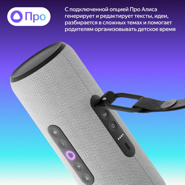 Портативная умная колонка Яндекс Станция Стрит с Алисой, 30 Вт,YNDX-00030GRY , серый