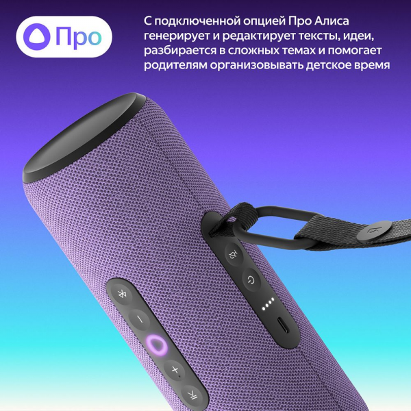 Портативная умная колонка Яндекс Станция Стрит с Алисой, 30 Вт,YNDX-00030VIO , фиолетовый