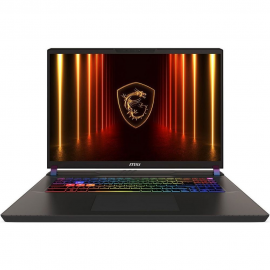 Ноутбук MSI Vector 17 HX AI A2XWJG-099XRU Intel Core Ultra 9 275HX/32Gb (2*16 D5)/SSD1Tb/RTX5090 24Gb (175W)/17