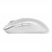 Мышь MSI Versa 300 White (S12-4301440-CLA)