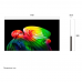 77" Телевизор OLED LG OLED77B6RLA.ARUG (2026)
