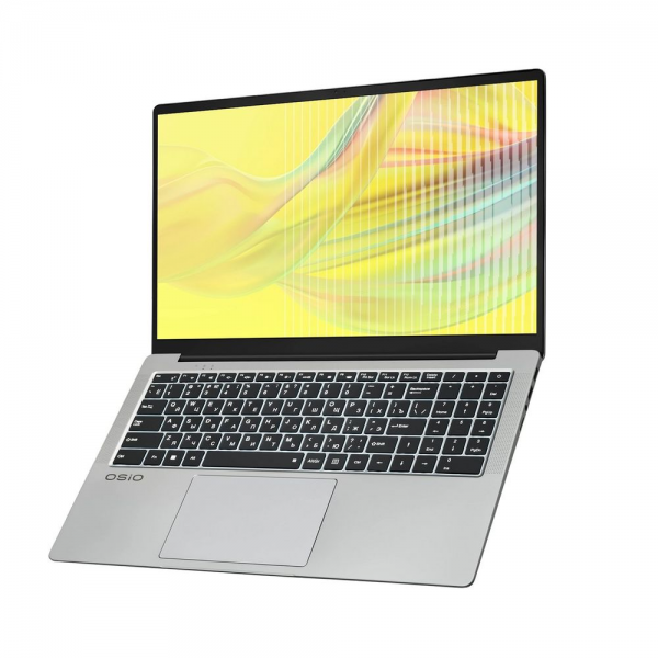 Ноутбук OSIO FocusLine F160a-005 AMD Ryzen 5 5500U/16Gb (1*16D4)/SSD512Gb/UMA/16.1"/IPS/FHD/1920x1080/60Hz/NoOS/Gray/1.77kg