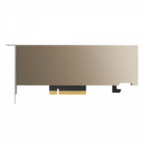 Графический процессор NVIDIA Tesia A2 Graphics Card 16CB, Bulk Lacking, ATX bracket installed LP bracket included